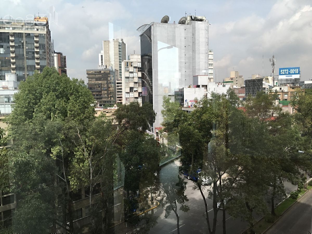 12 de 12