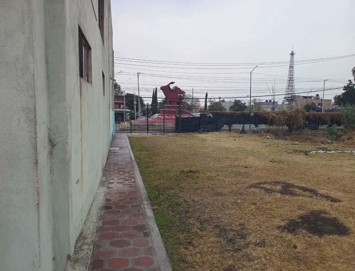 Imagen 5 de 10