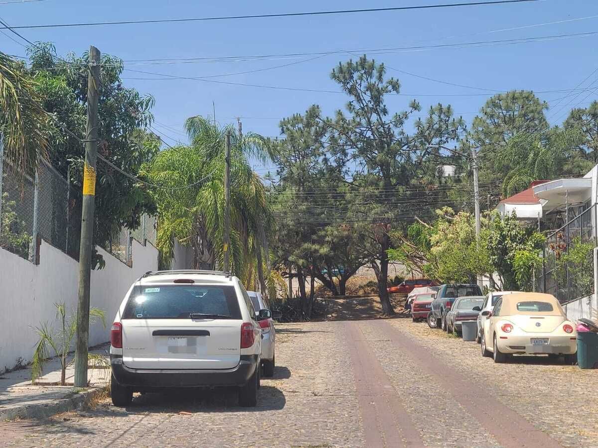 4 de 6