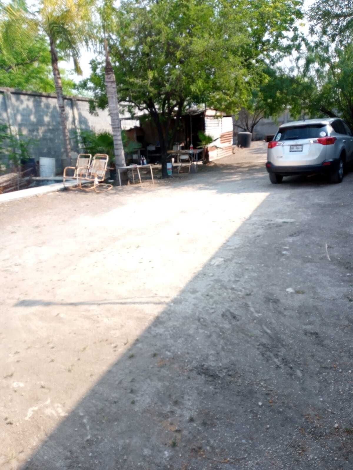 3 de 7