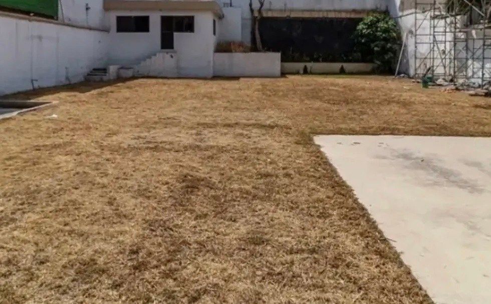 Terreno en Lomas de Virreyes, Miguel Hidalgo, foto 3 de 3