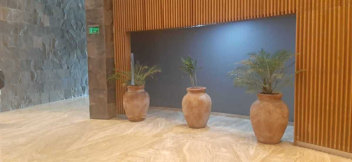 3 de 16