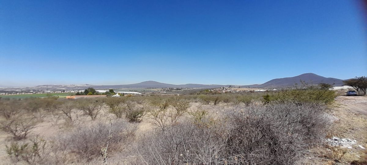 4 de 21