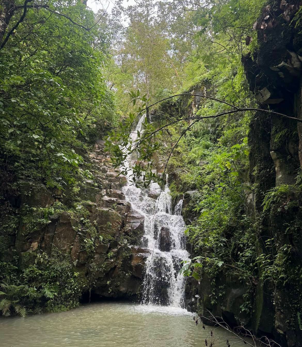 4 de 4