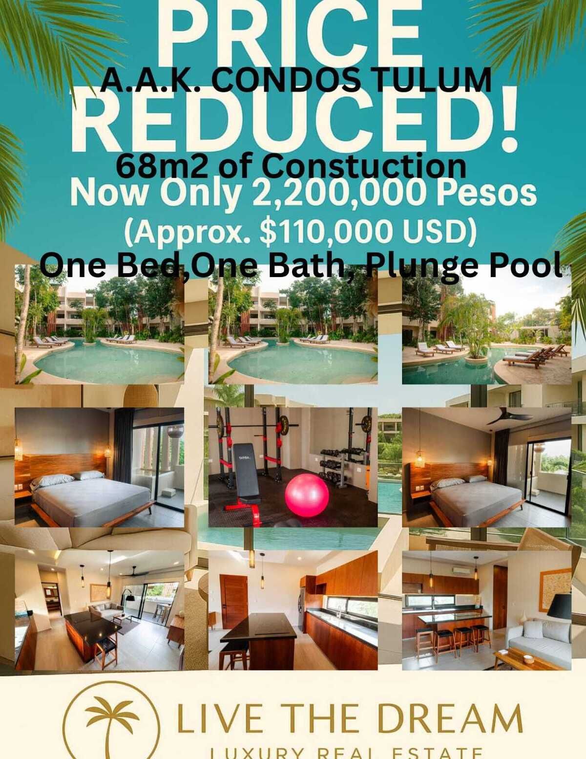 1 de 49: Tulum condo: luxury, plunge pool, spacious, investment.