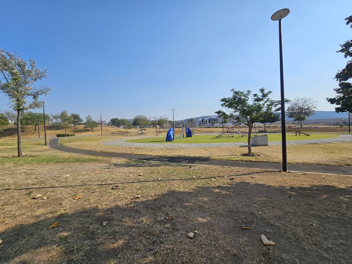 12 de 29