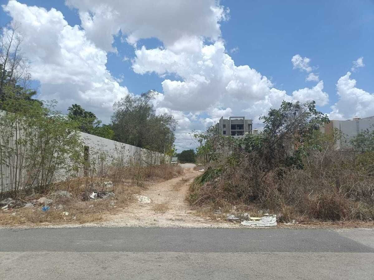 4 de 4