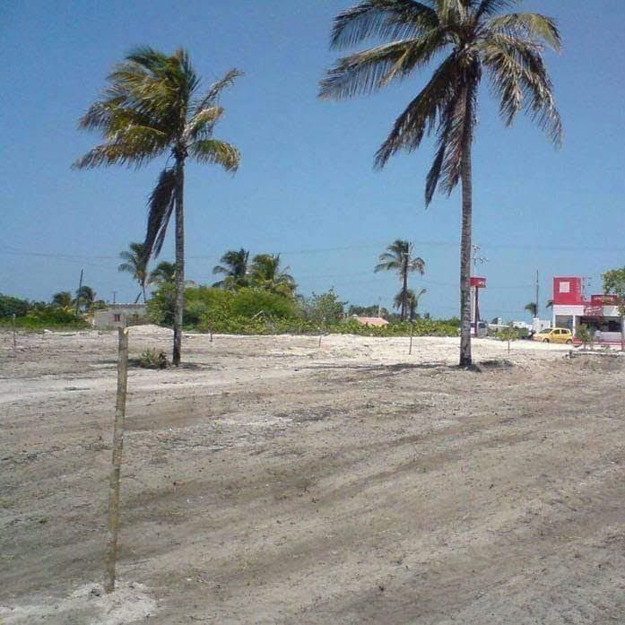 3 de 3