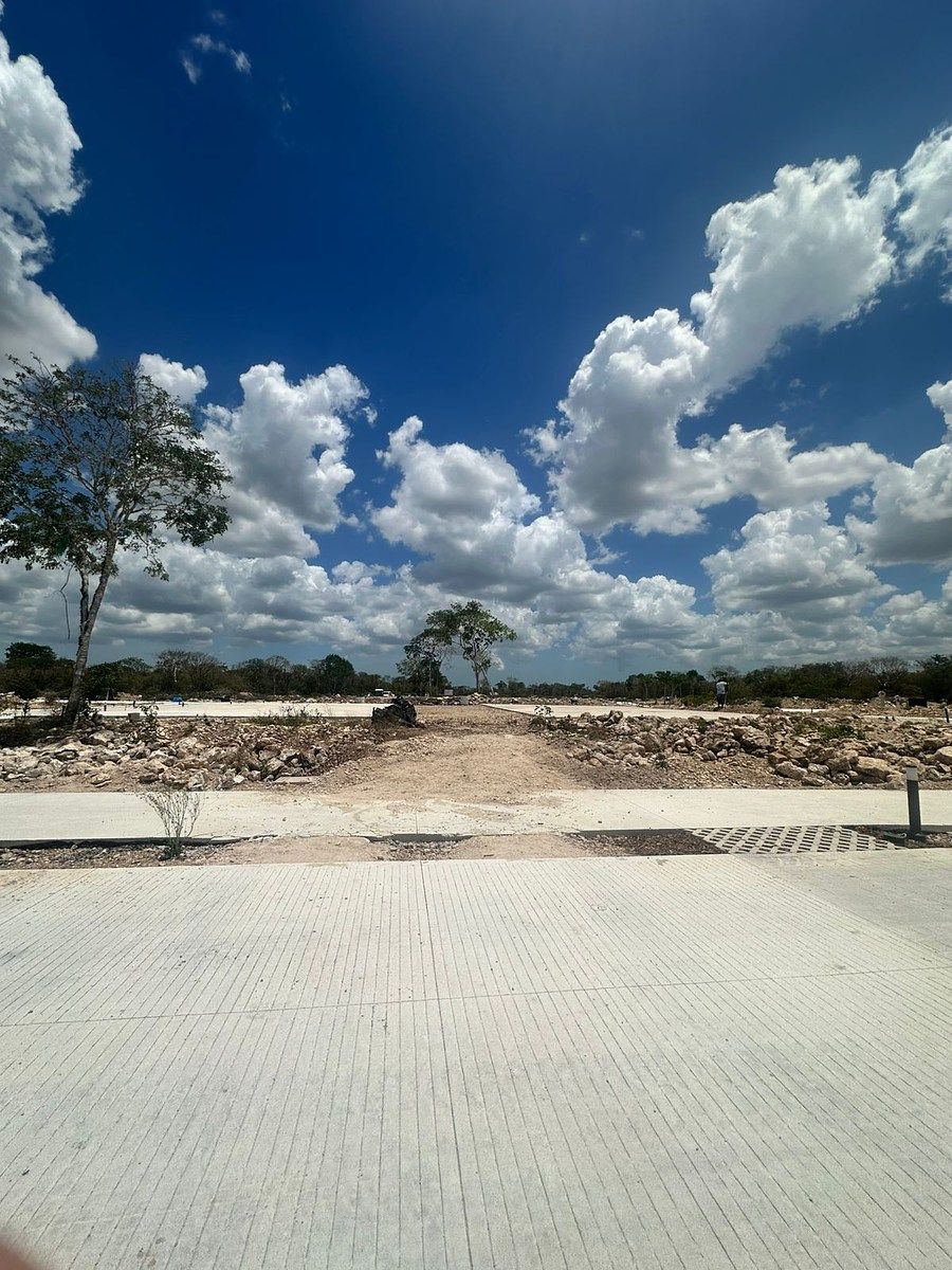 JUNIO 2026, foto 12 de 16