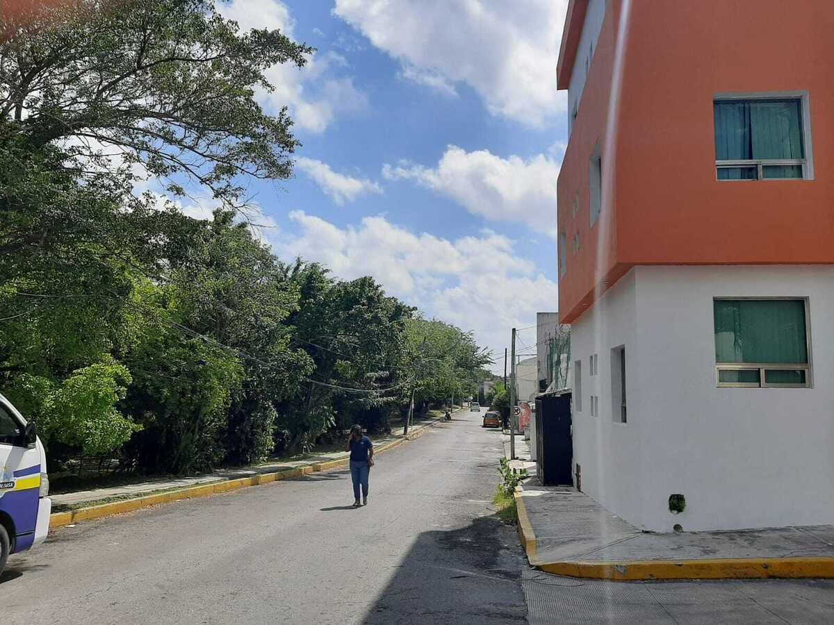 3 de 21