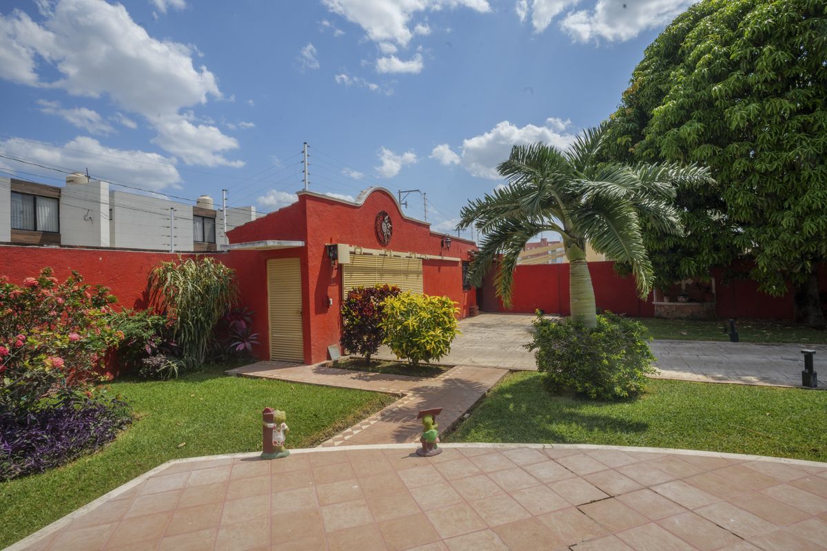 6 de 29