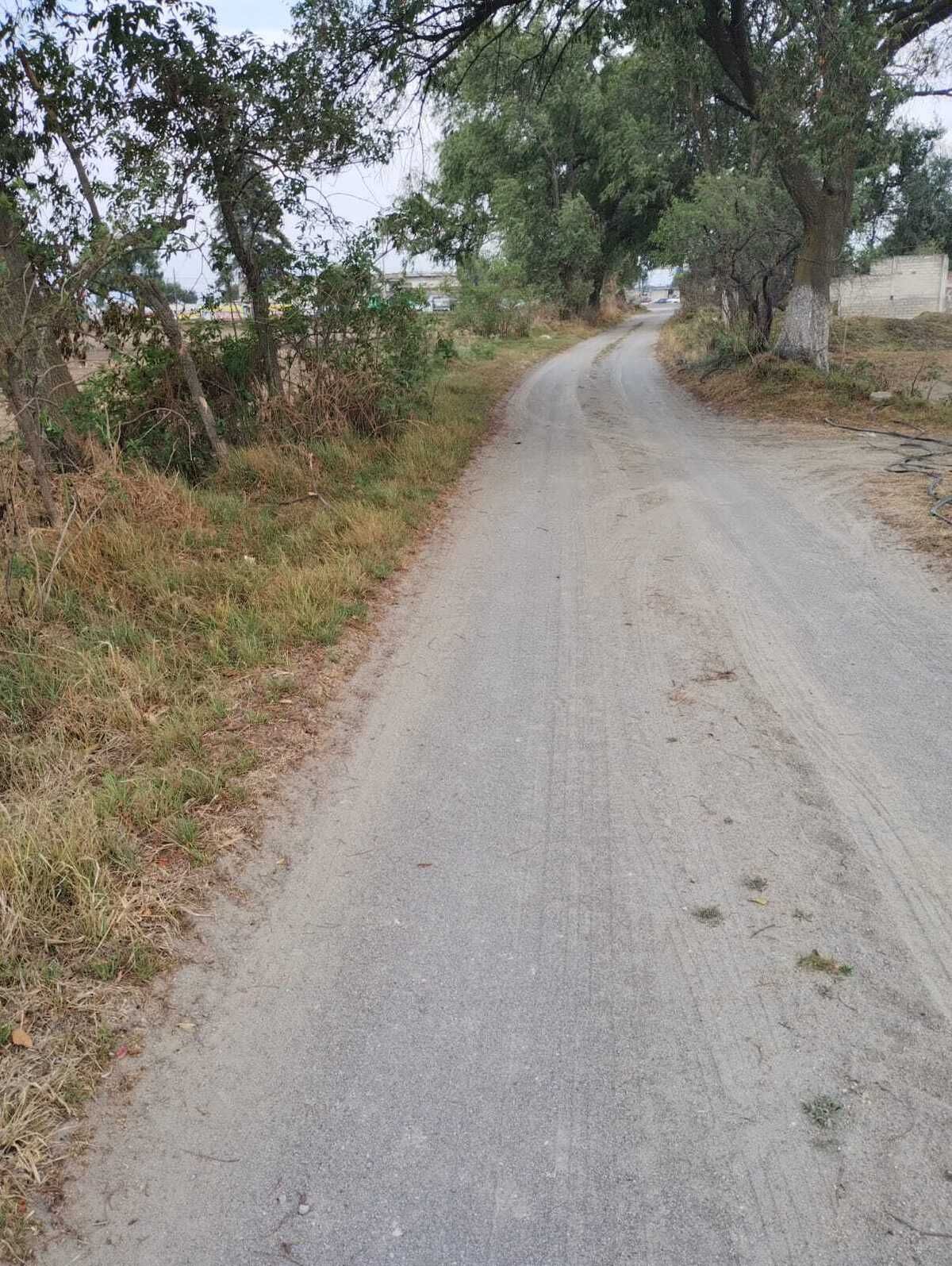 5 de 5