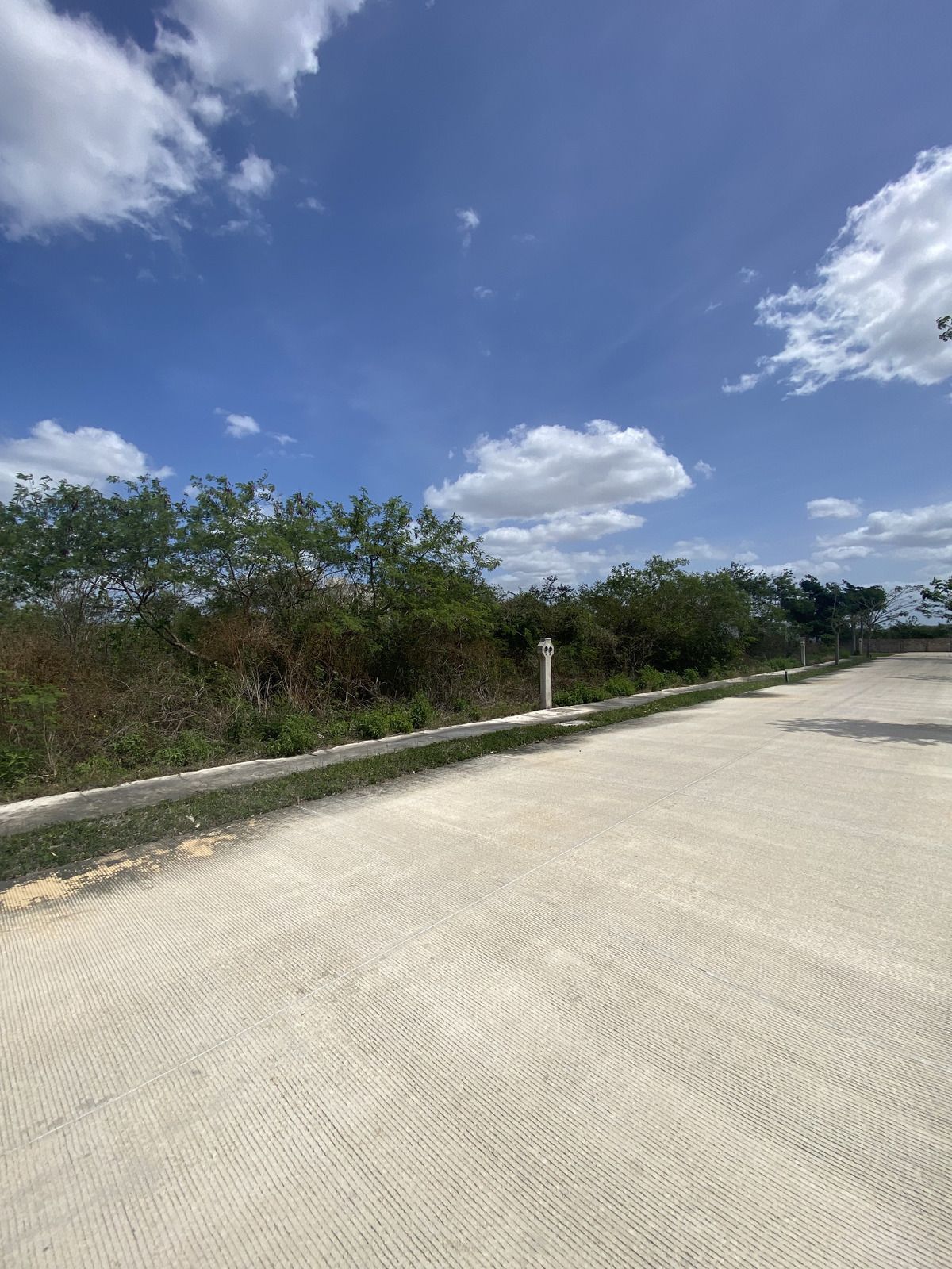 Terreno residencial en privada Gaeta, dentro de Cabo Norte - foto 4