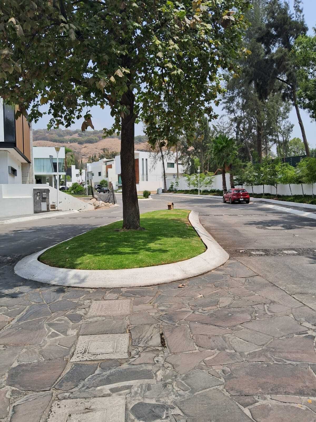 4 de 14