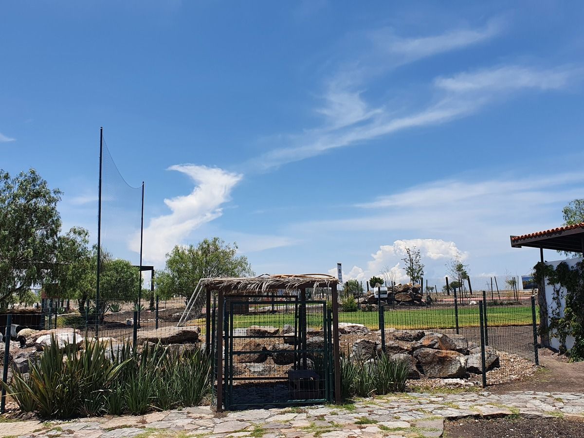 14 de 15