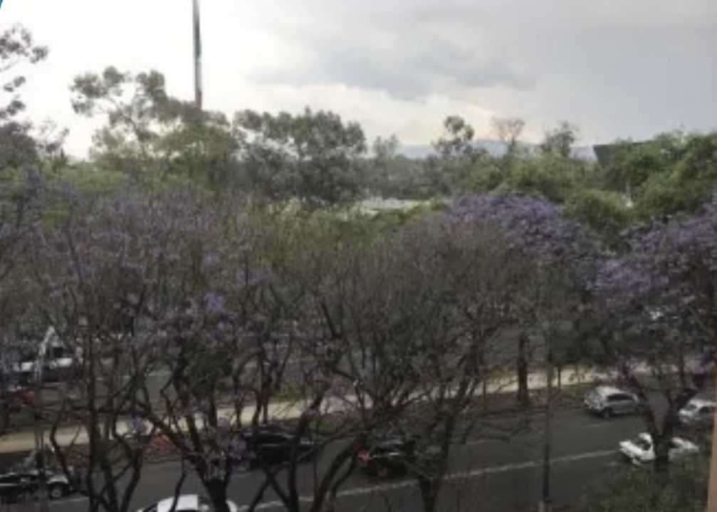 5 de 13