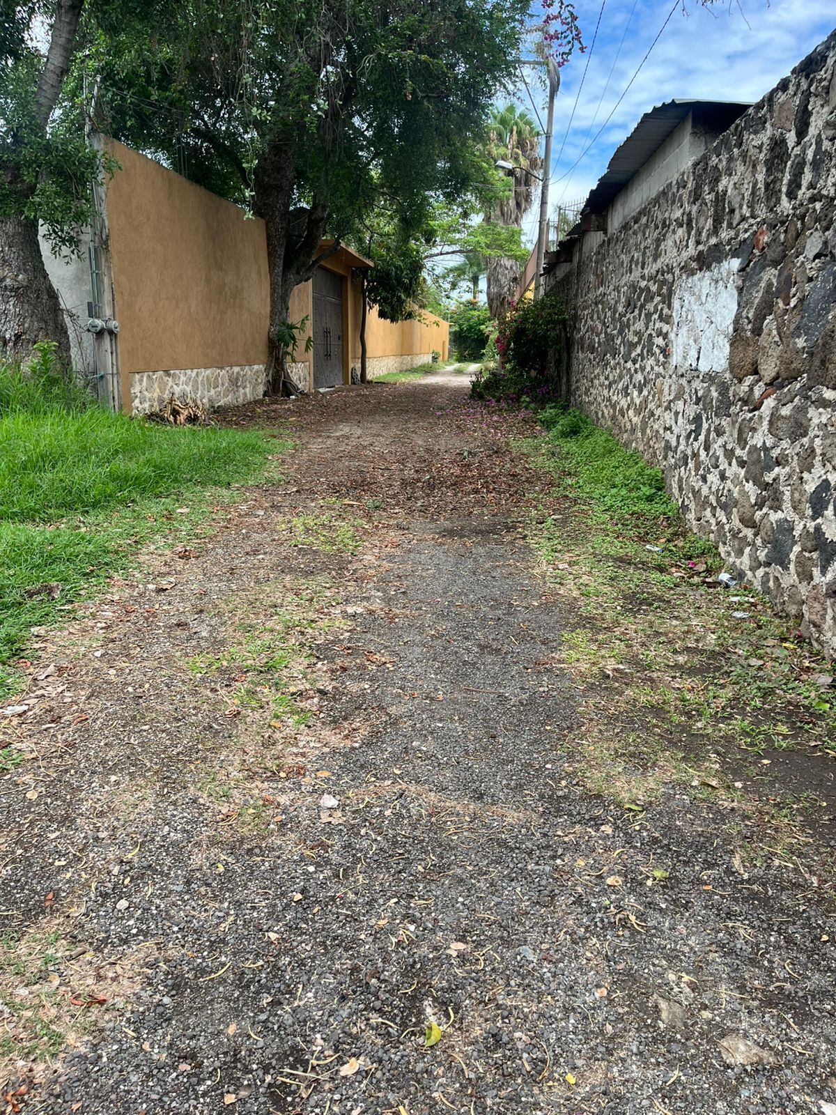 3 de 7