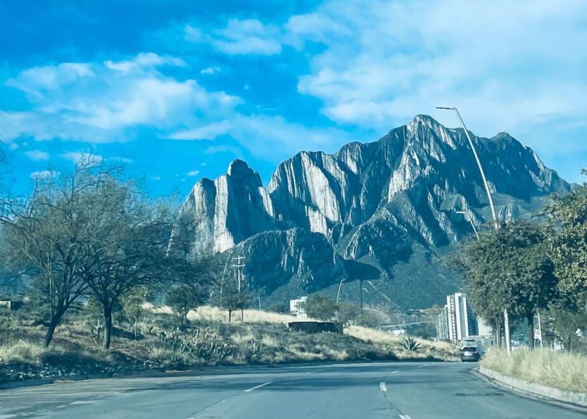 2 de 14