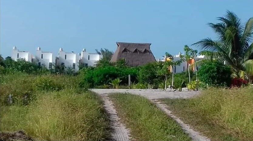1 de 2
