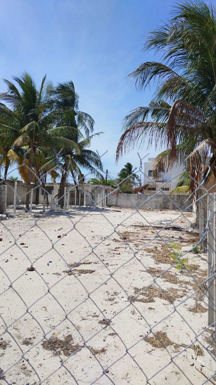 3 de 11