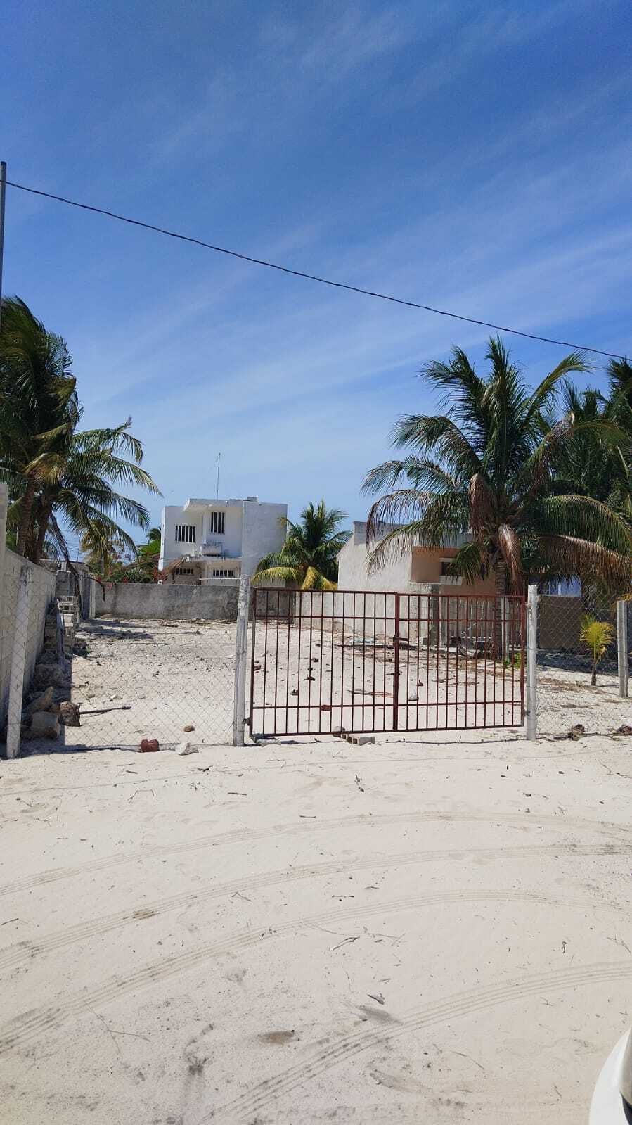 4 de 11