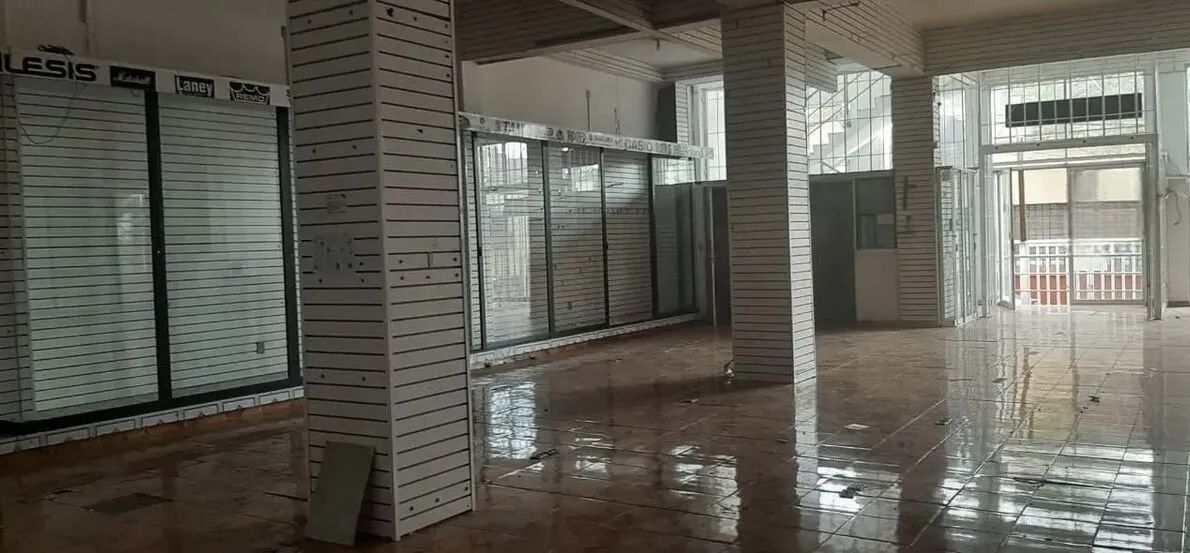 Imagen 8 de 10