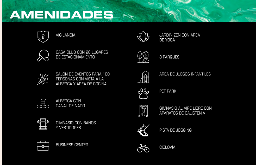 11 de 12
