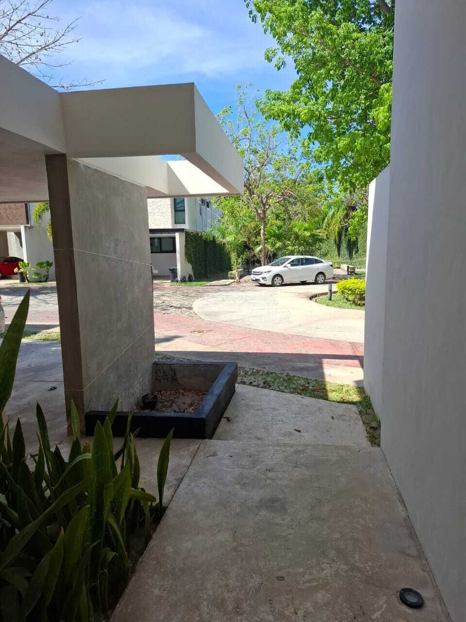 3 de 12