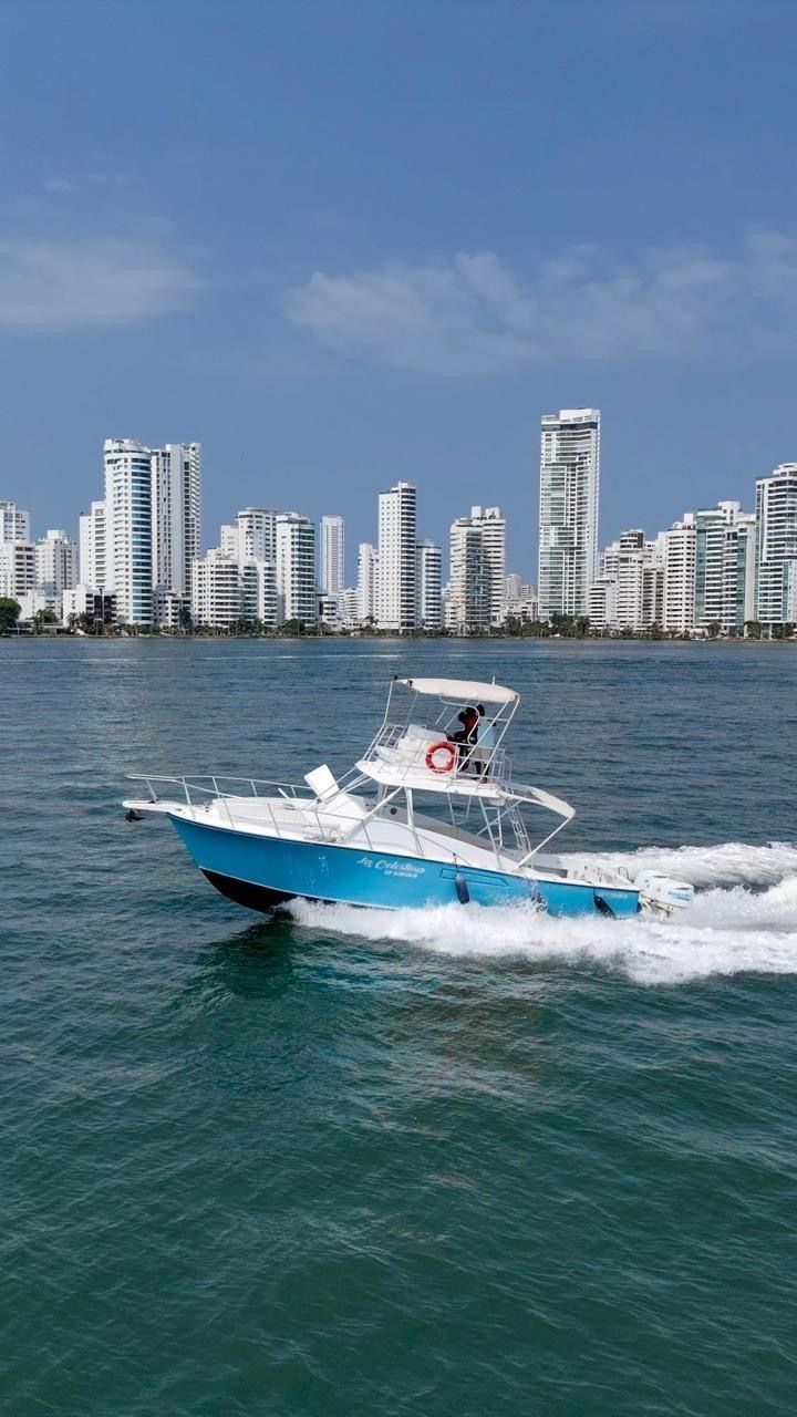 1 de 38