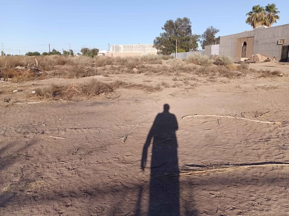 5 of 7