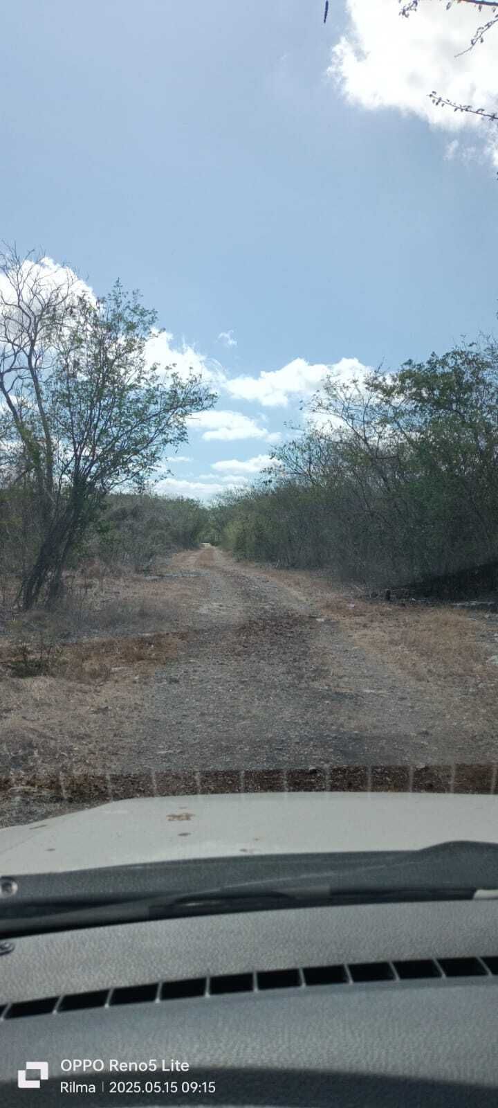3 de 4