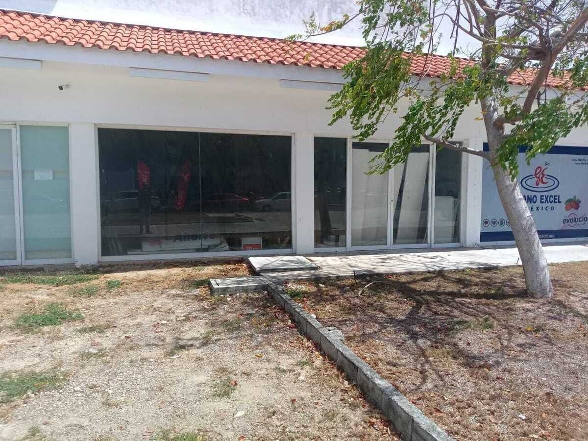 3 de 11