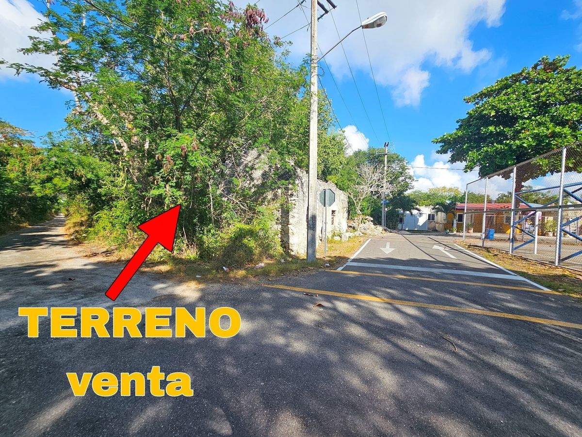 10 de 10
