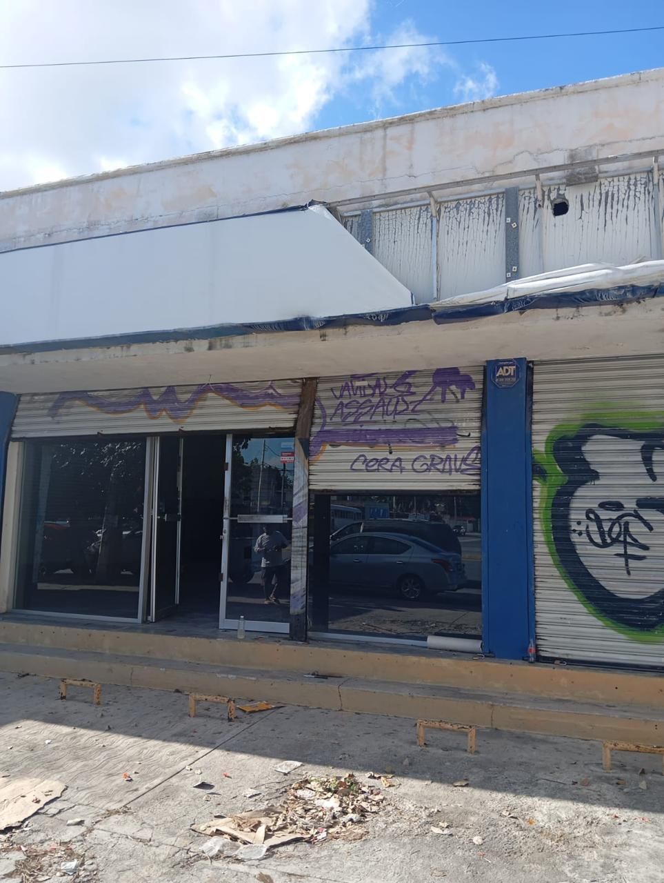 6 de 6