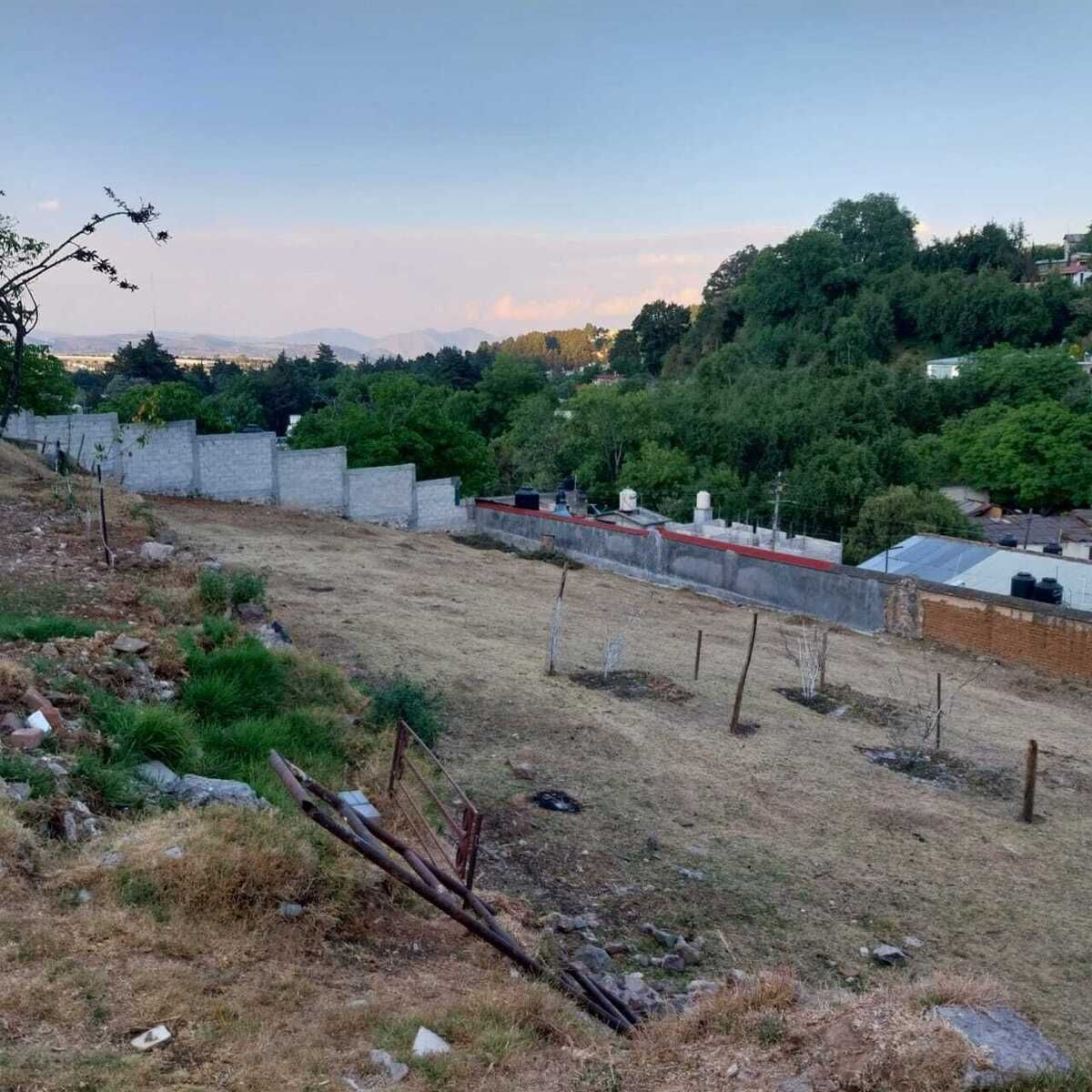 2 de 3
