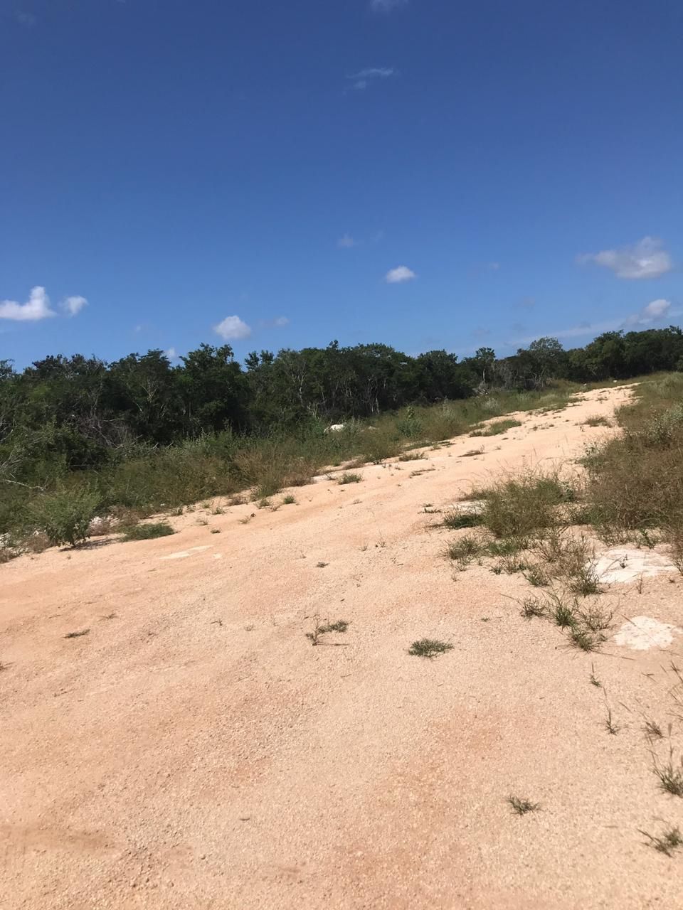 2 de 5