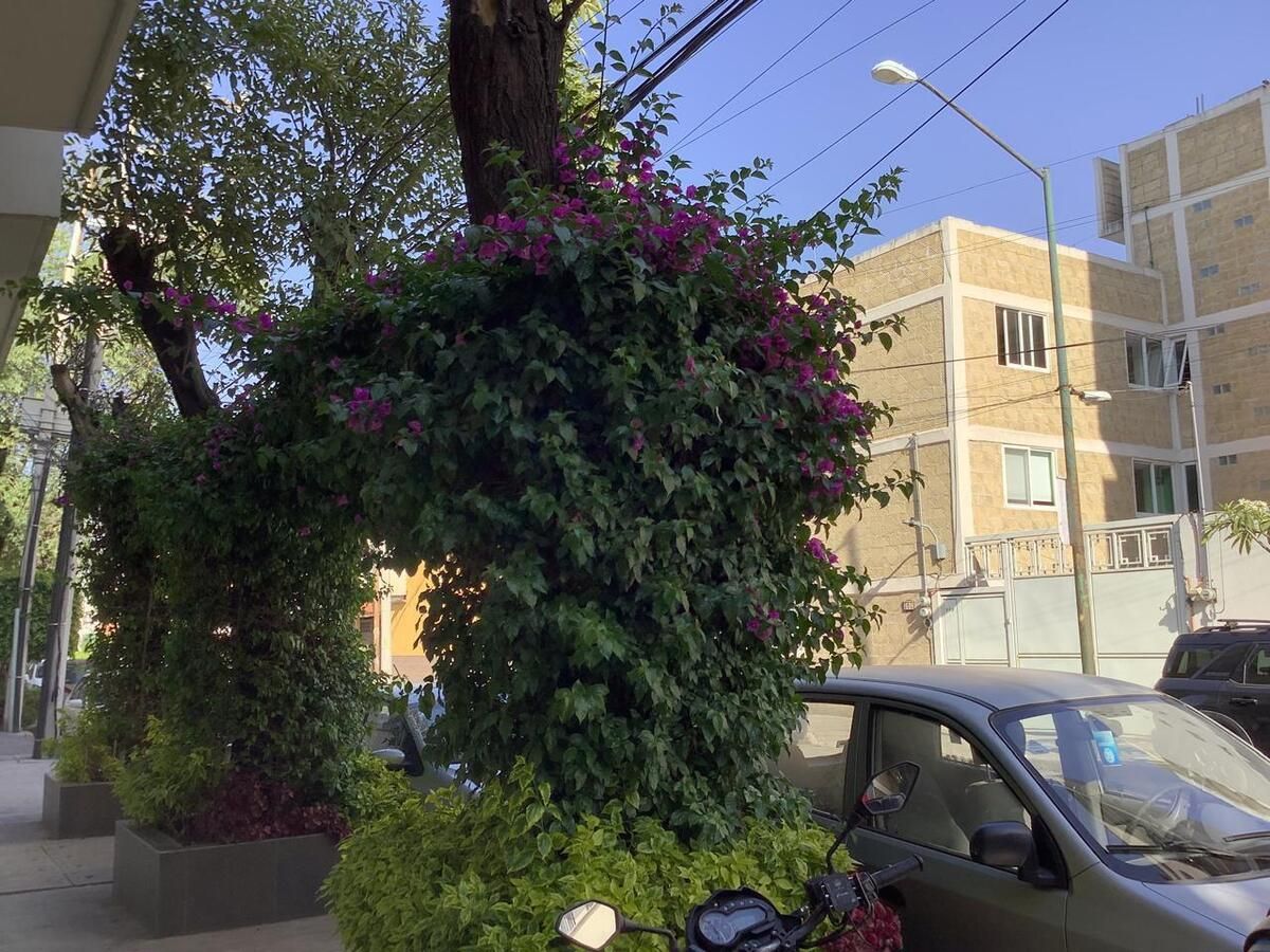 7 de 40