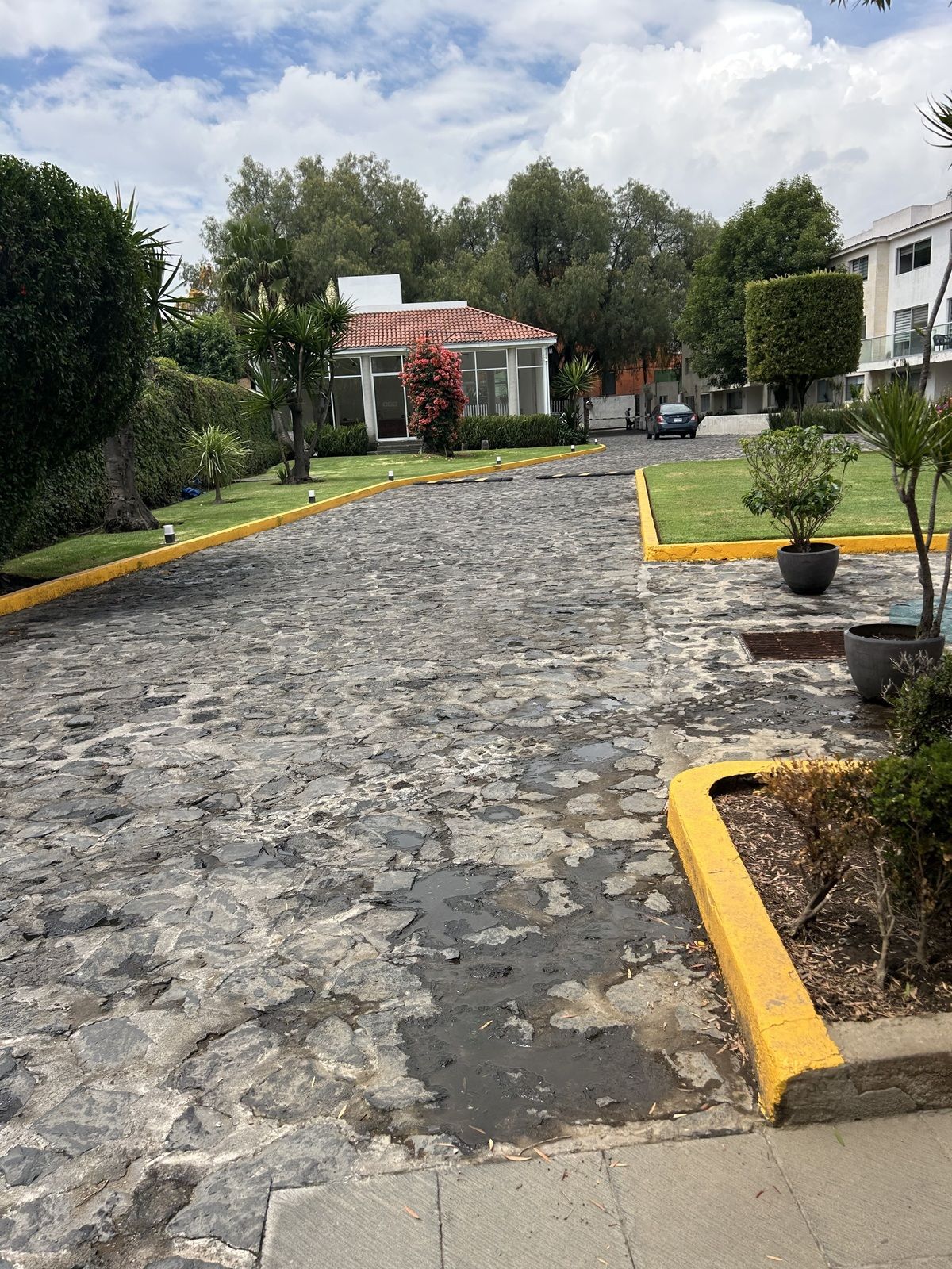 29 de 43