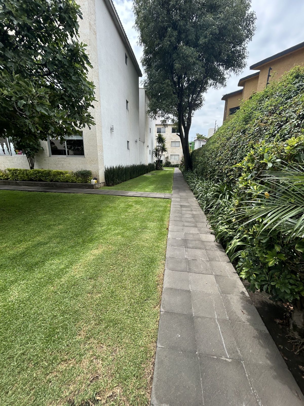 36 de 43
