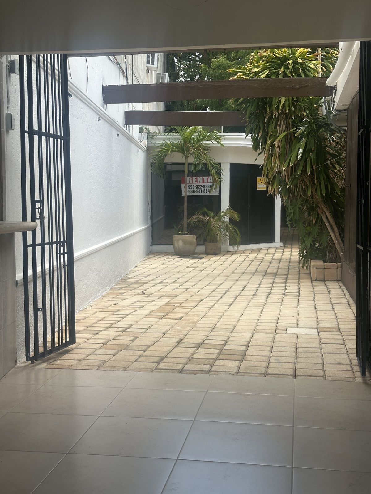 5 de 11