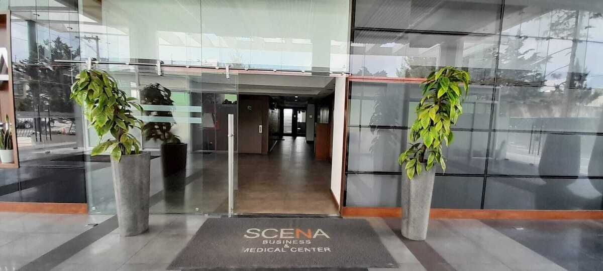 5 de 14