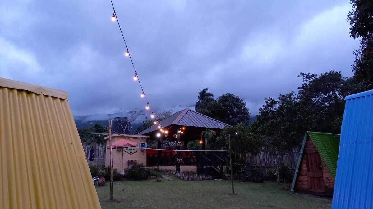 3 de 11