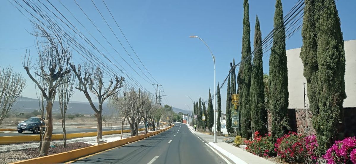 5 de 15