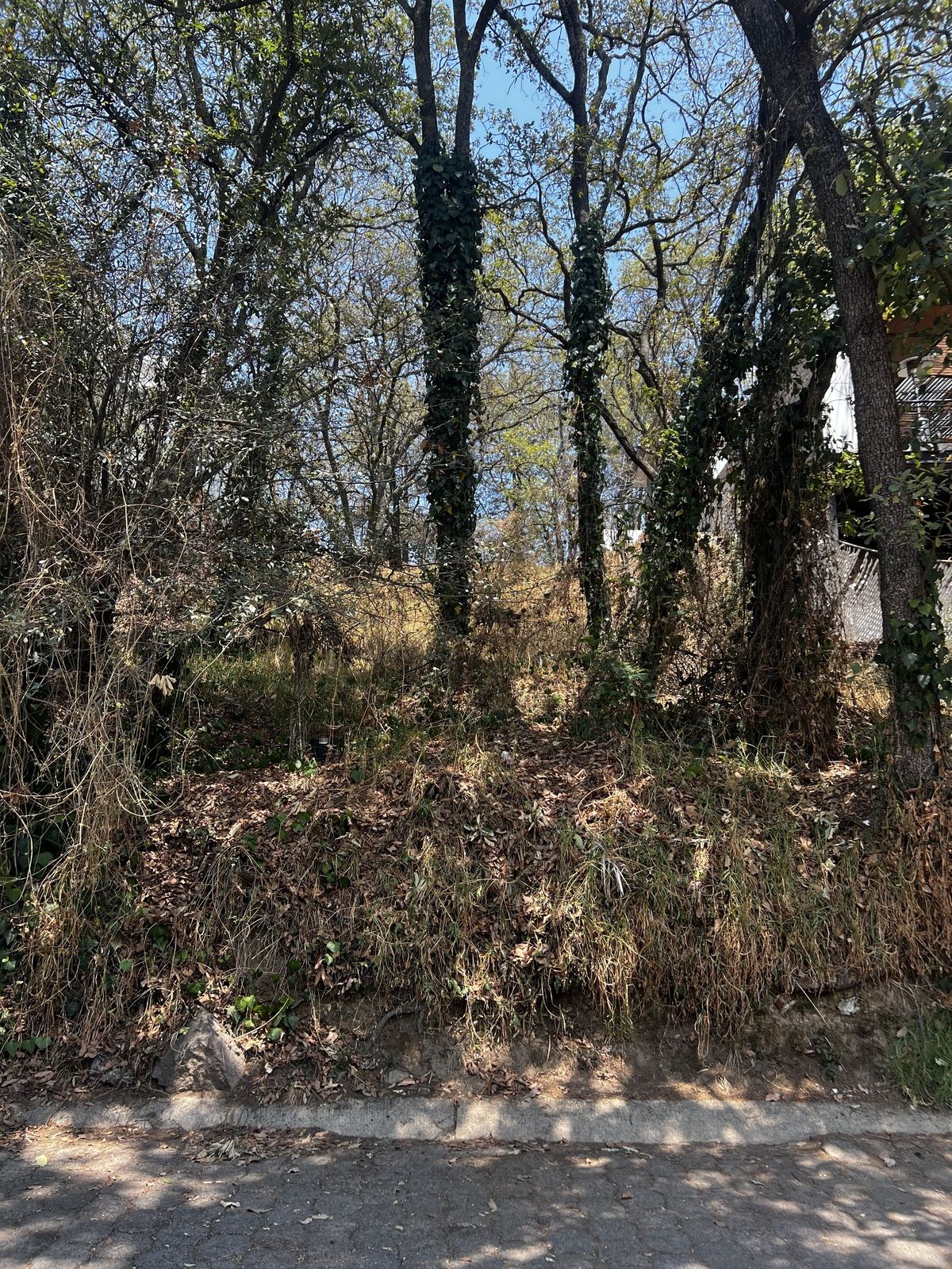 5 de 8