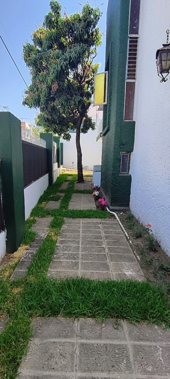4 de 19