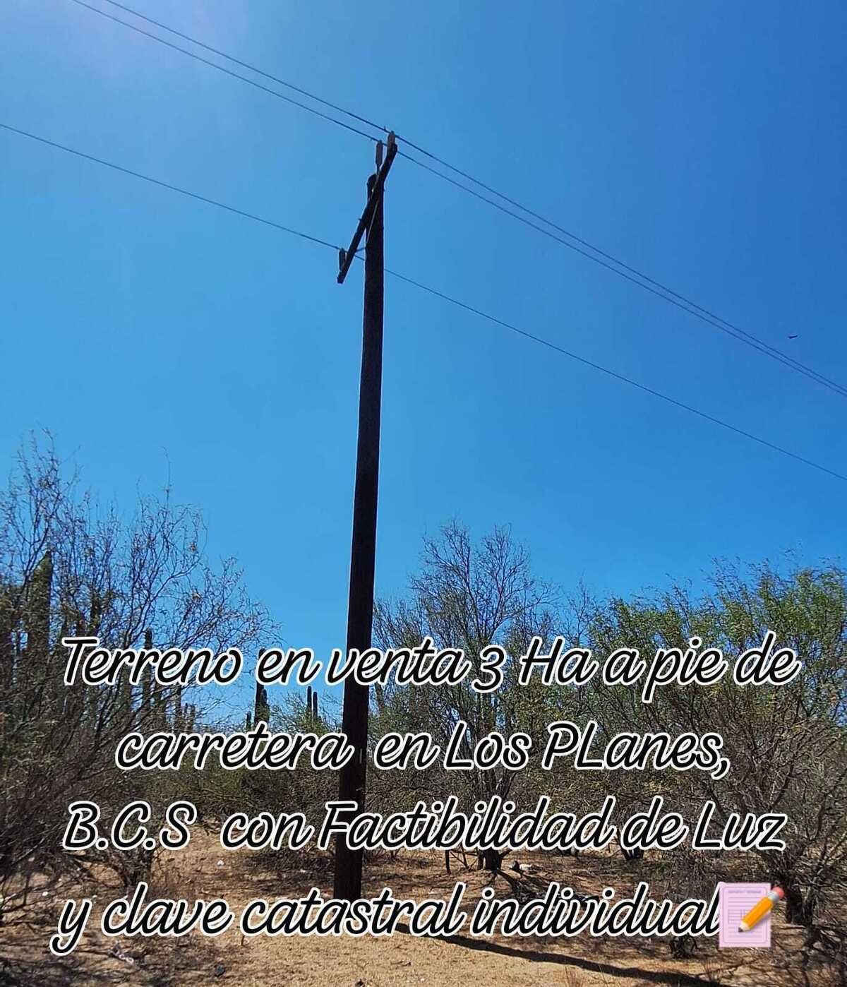 5 de 13