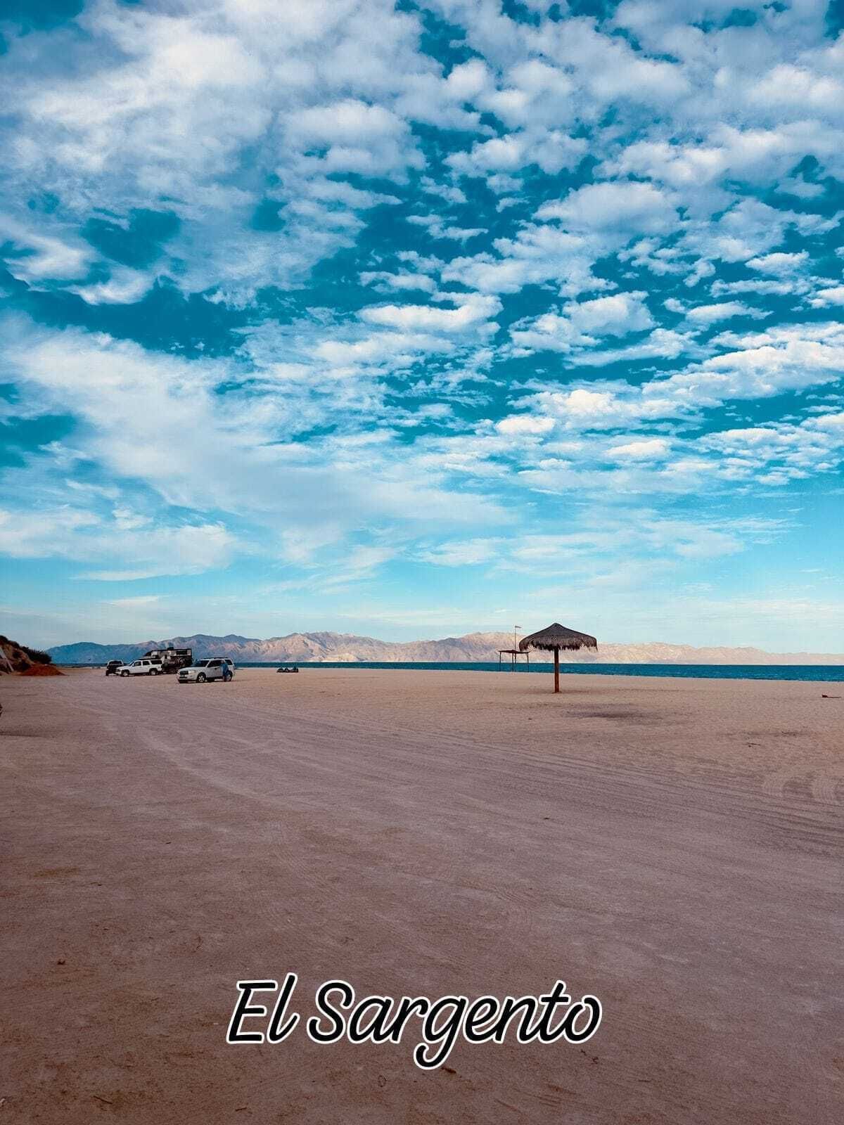 12 de 13