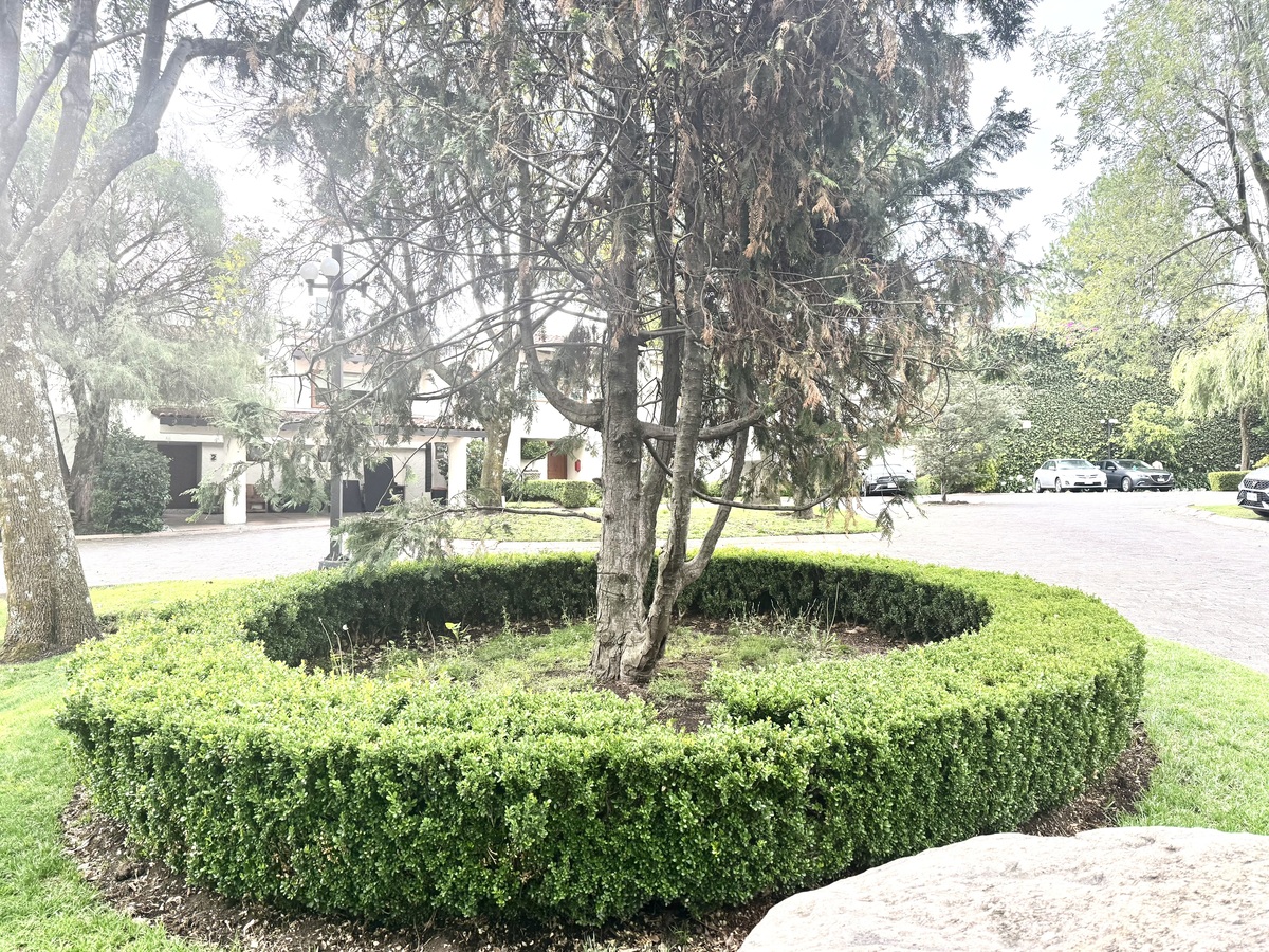 2 de 30