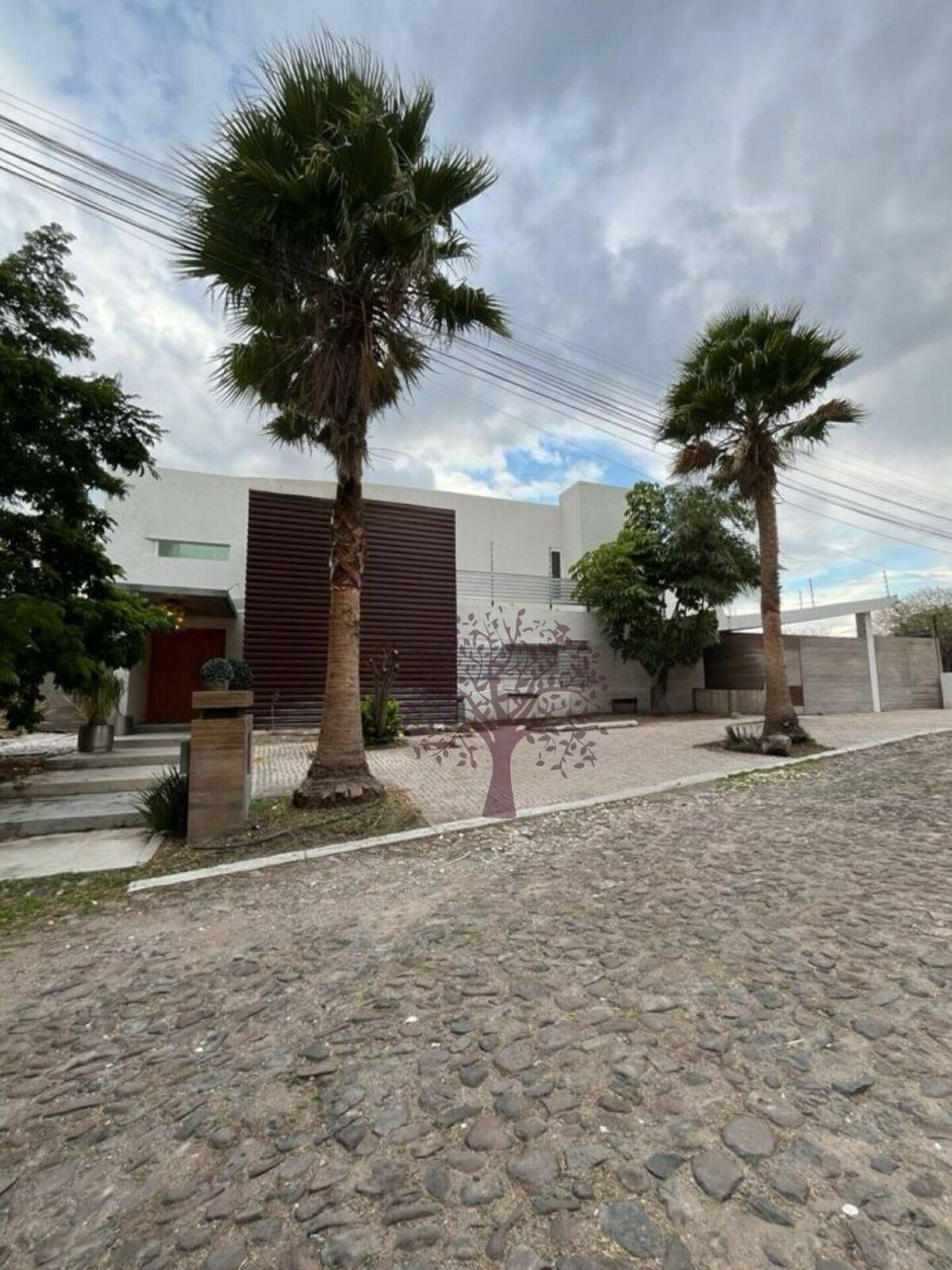 2 de 46