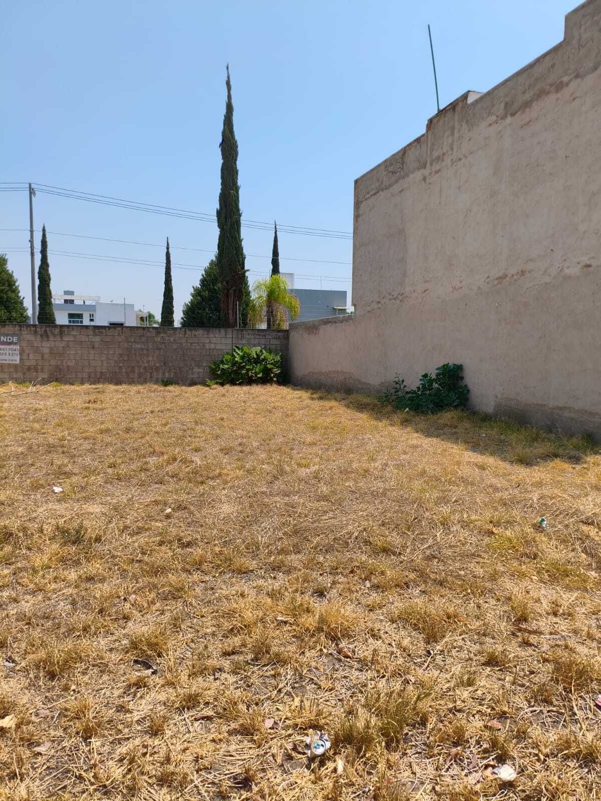 2 de 7